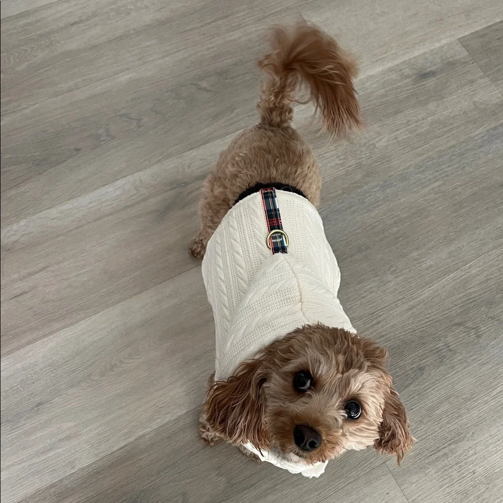 Cable knit Plaid PREPPY Dog Hoodie sweater harness vest adjustable Coat dog L